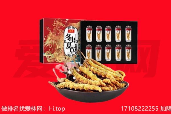 天心区回收虫草.jpg